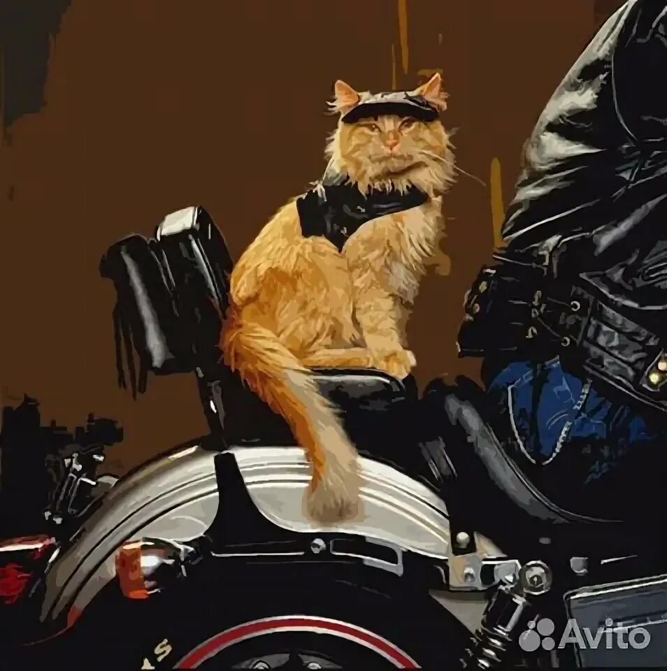 Кот на мотоцикле фото Сумка для мотоцикла Батон Кофр suzuki intruder купить в Санкт-Петербурге с доста