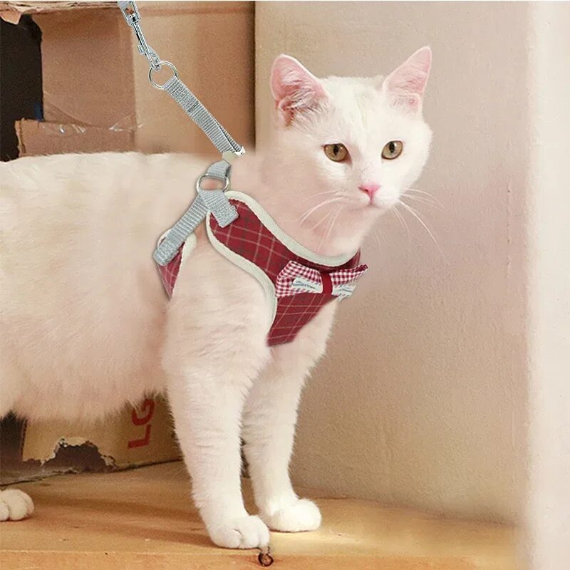 Кот на шлейке фото Комплект из шлейки и поводка для кошек, сетка с бантом AliExpress