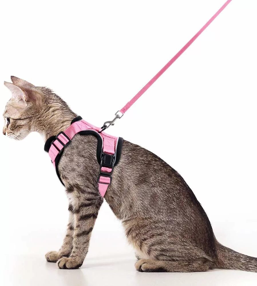 Кот на шлейке фото Reflective Pink Cat Vest Harness With Leash Set For Walking Soft Mesh Small Dog 