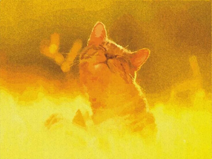 Кот на солнце фото Happyness Painting, Cats, Animals