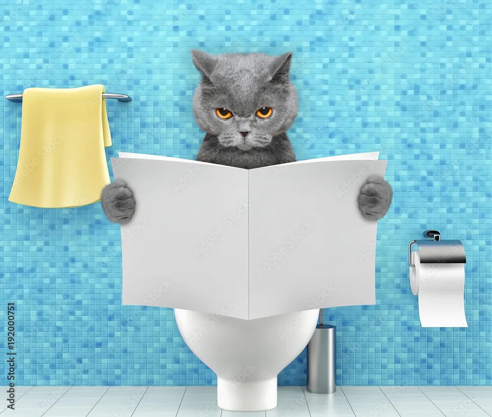 Кот на унитазе фото Angry cat sitting on a toilet seat with digestion problems or constipation readi
