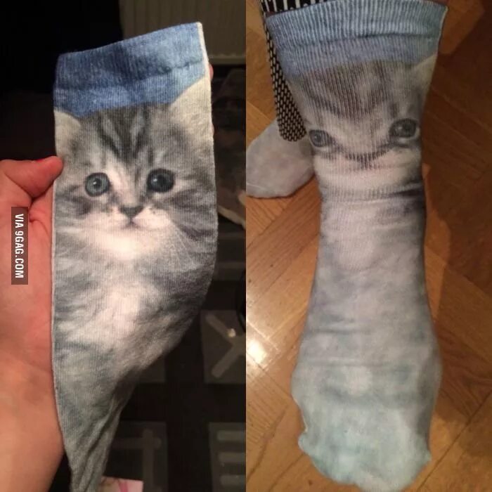Кот носок фото Loved my new socks, until I tried them on... Funny pictures, Funny, Best funny p