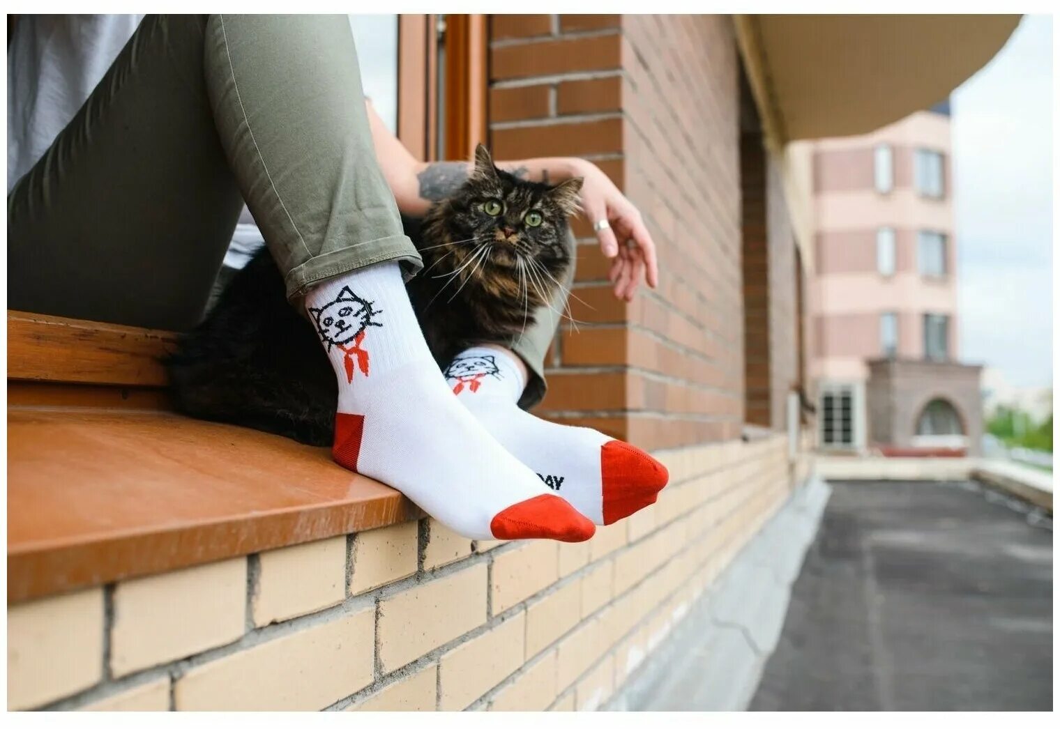 Кот носок фото Укороченные носки unisex St. Friday Socks "всегда котов", размер 42-46 - купить 
