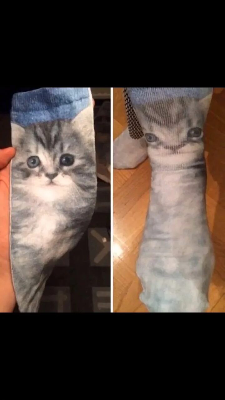 Кот носок фото Пин на доске Fail