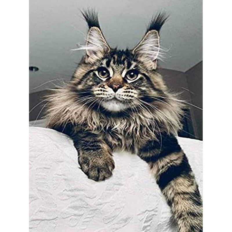 Кот породы мейн кун фото 5D DIY Diamond Painting Animals Such As Cats and Horses Diamond Embroidery Cross