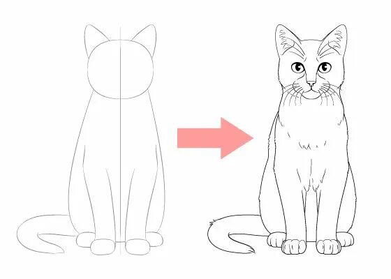 Кот пошаговое фото Easy Drawing Tutorials for Beginner & Intermediate Artists Cat drawing tutorial,