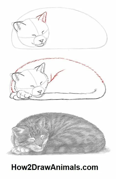 Кот пошаговое фото 10 популярных идей на тему "cat sleeping drawing reference" для вдохновения