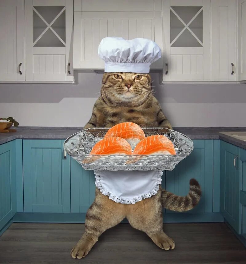 Кот повар фото Cat with Sushi Set in Kitchen 2 Stock Photo - Image of holiday, cook: 120176746