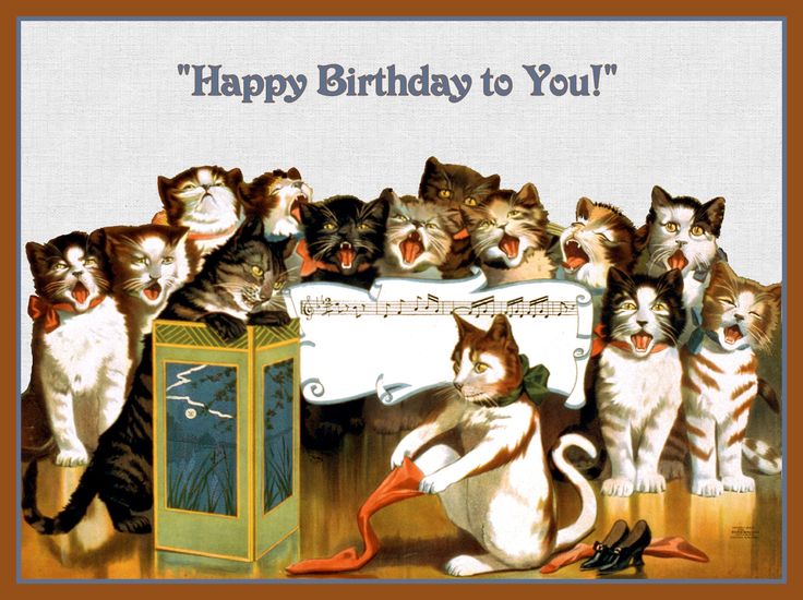 Кот поздравляет с днем рождения фото Group of Cats Singing Happy Birthday Refrigerator Magnet Singing happy birthday,