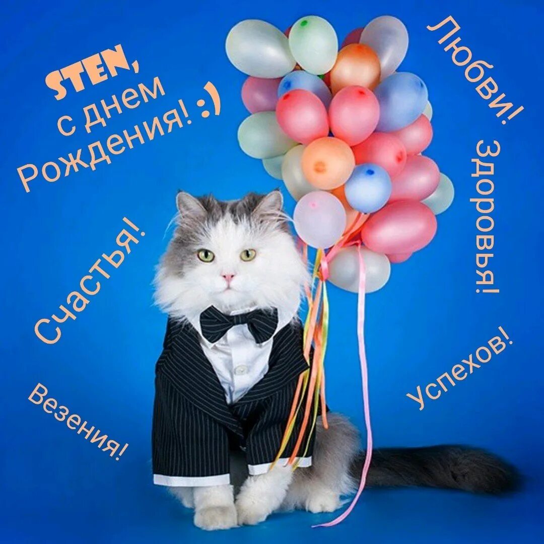Кот поздравляет с днем рождения фото С днем рождения поздравления котики - 68 фото
