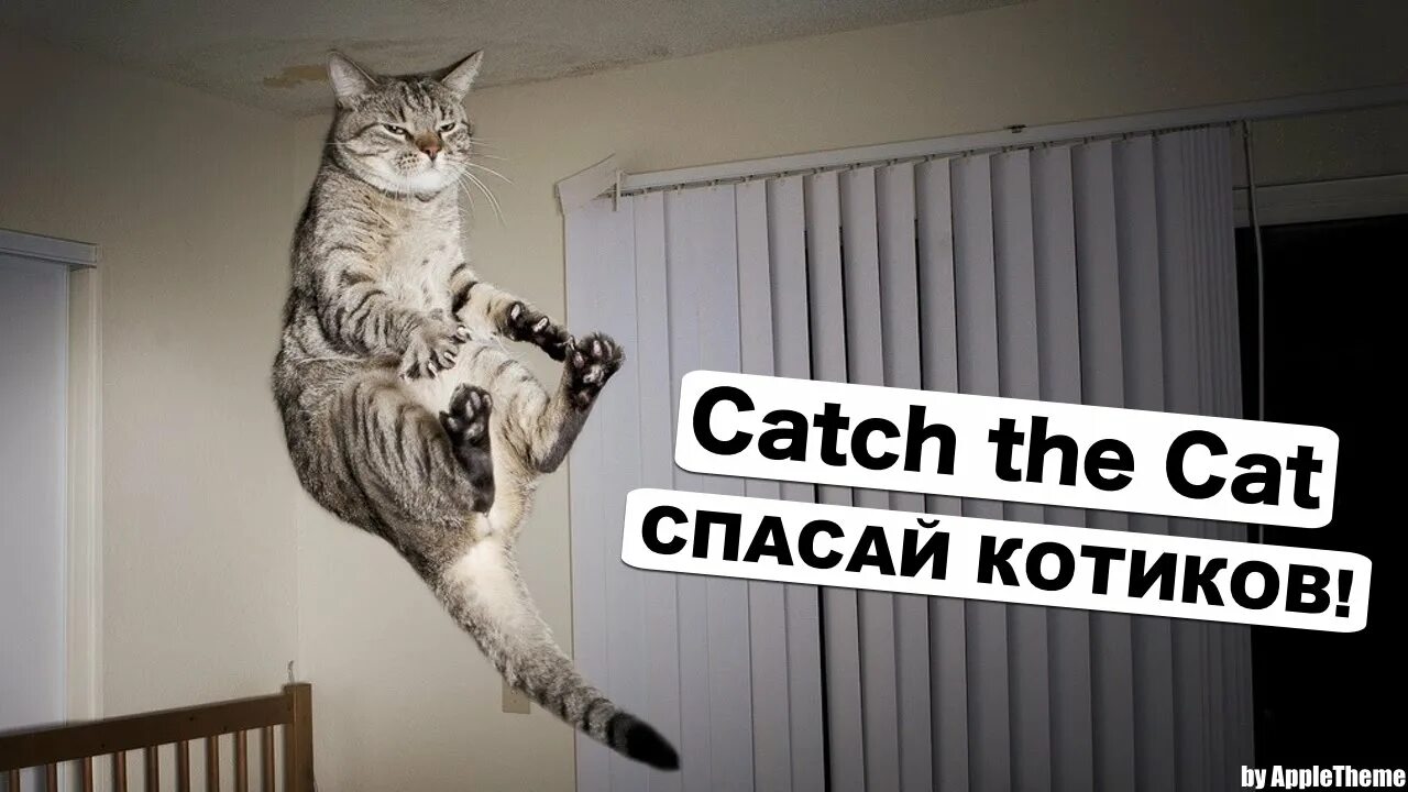 Кот прыгает фото Убивалка времени на iPhone! Спасай котов в Catch the Cat - YouTube