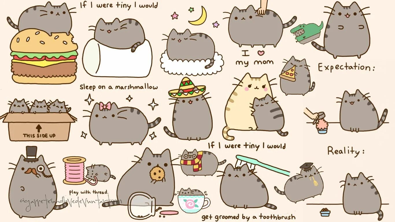 Кот пушин фото Pin on PUSHEEN