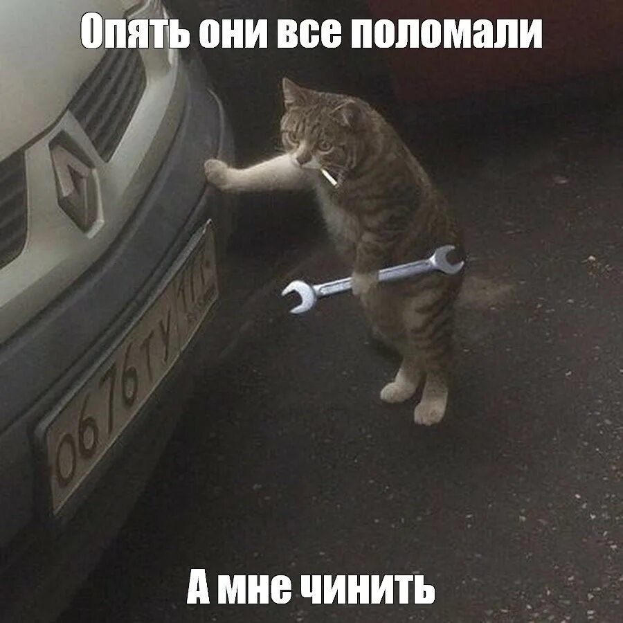 Кот с гаечным ключом и сигаретой фото Создать мем "кот с гаечным ключом и сигаретой, кот, котик с гаечным ключом" - Ка
