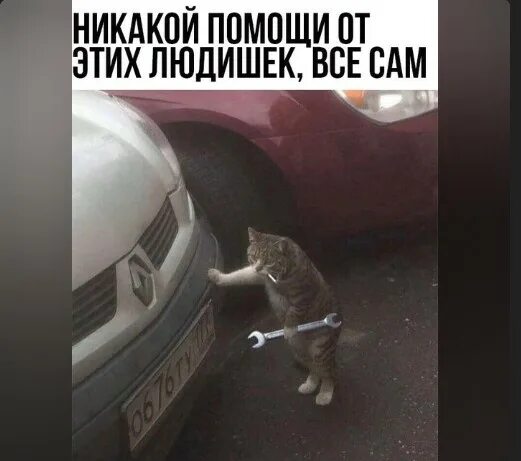 Кот с гаечным ключом и сигаретой фото Создать мем "кошка, кот автомеханик, кот автослесарь мем" - Картинки - Meme-arse