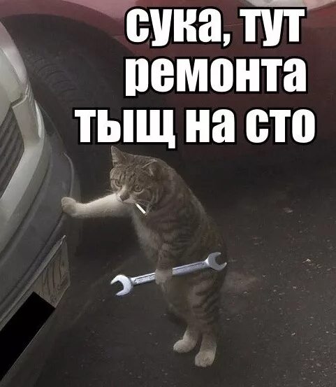 Кот с гаечным ключом и сигаретой фото 21# не 3/14здеть, а делать 4 - Honda Civic Hatchback (3G), 1,5 л, 1987 года кузо