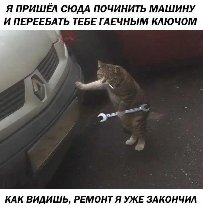 Кот с гаечным ключом и сигаретой фото БМВ 3 серии Шины и Диски. Дополнения к автомобильным отзывам.