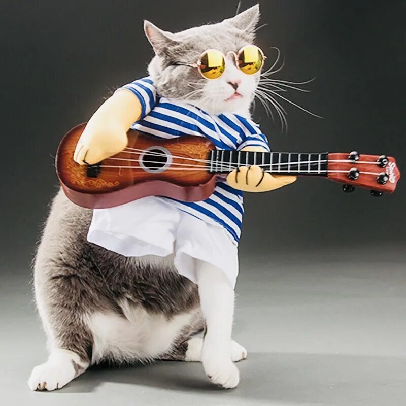 Кот с гитарой фото Pin on cards Funny pet costumes, Cat furry, Pet costumes