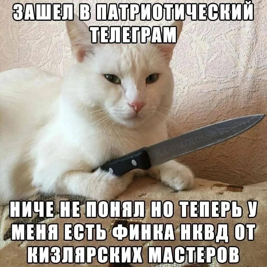 Кот с ножом фото Публикации ant-tv - Страница 3 - Русскоязычный ножевой форум