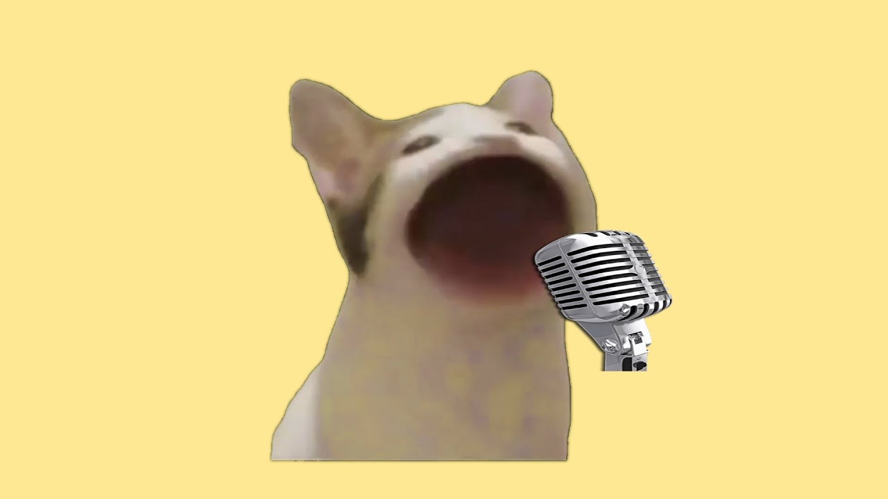 Кот с открытым ртом фото pop cat 다메다메 - YouTube