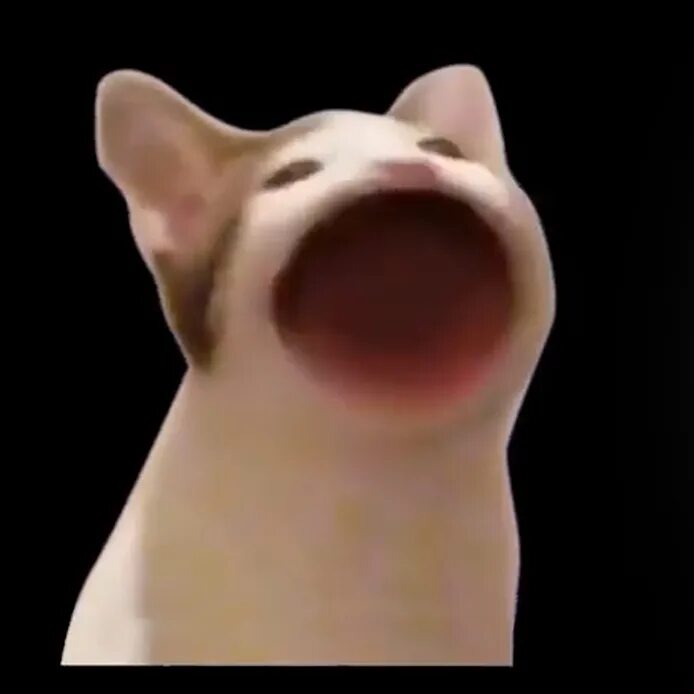 Кот с открытым ртом фото Майстерня Steam::Cat Pop Bohemian Rhapsody