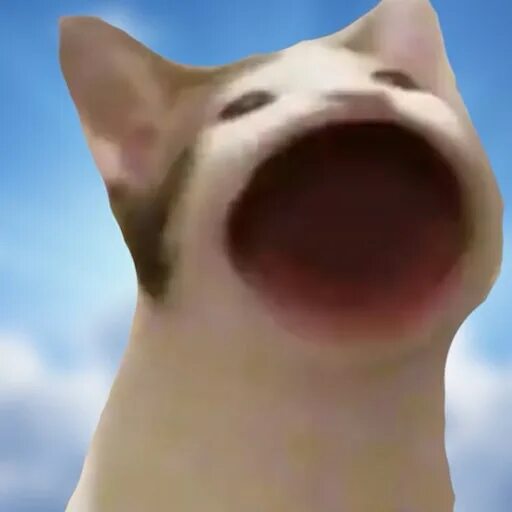 Кот с открытым ртом фото Майстерня Steam::Cat Meme