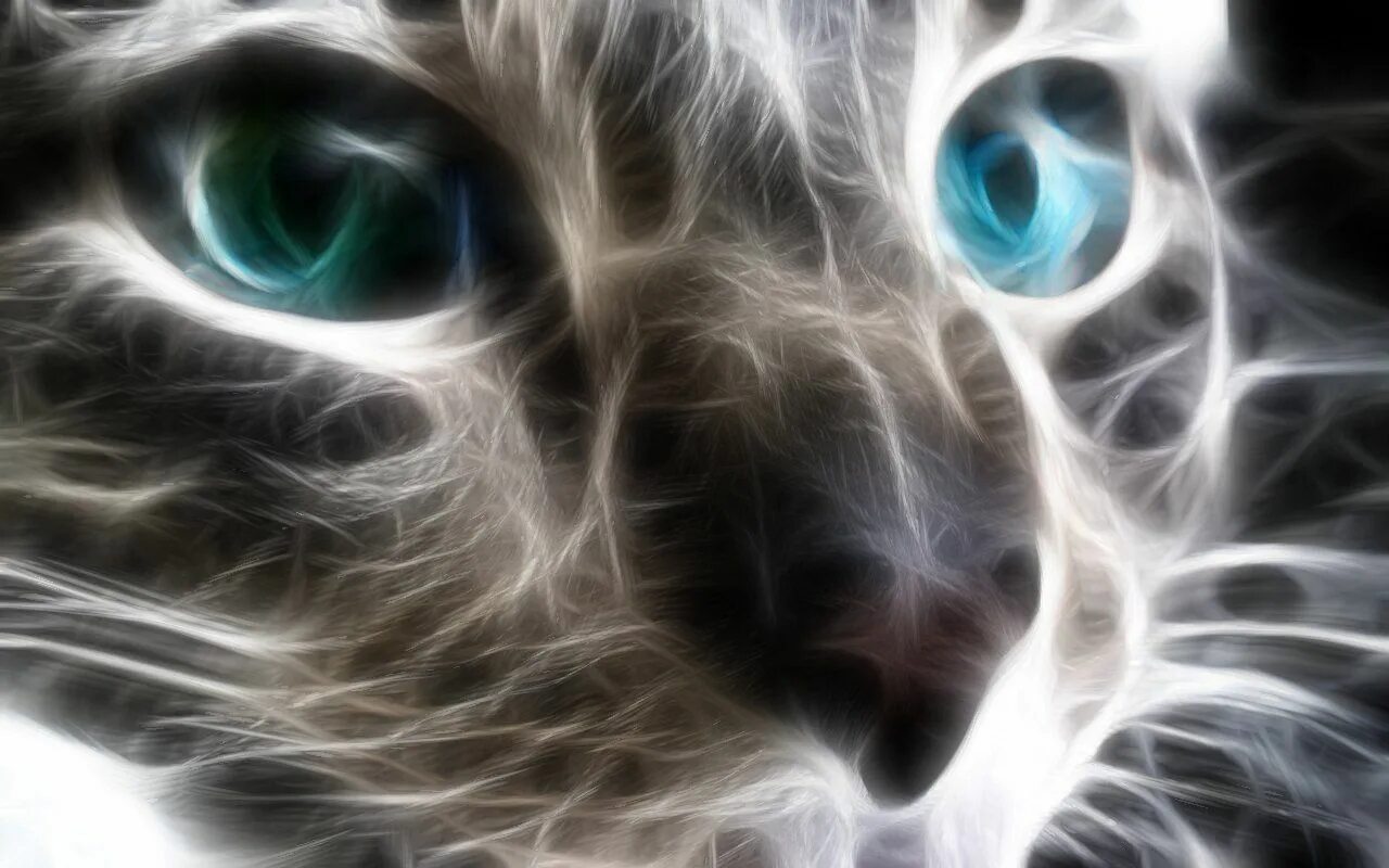 Кот с серыми глазами фото Animal Cat Fractal Kitten Blue Eye Wallpaper Eyes wallpaper, Kitten wallpaper, H