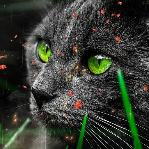 Кот с зелеными глазами фото Мастерская Steam::Cute Cat