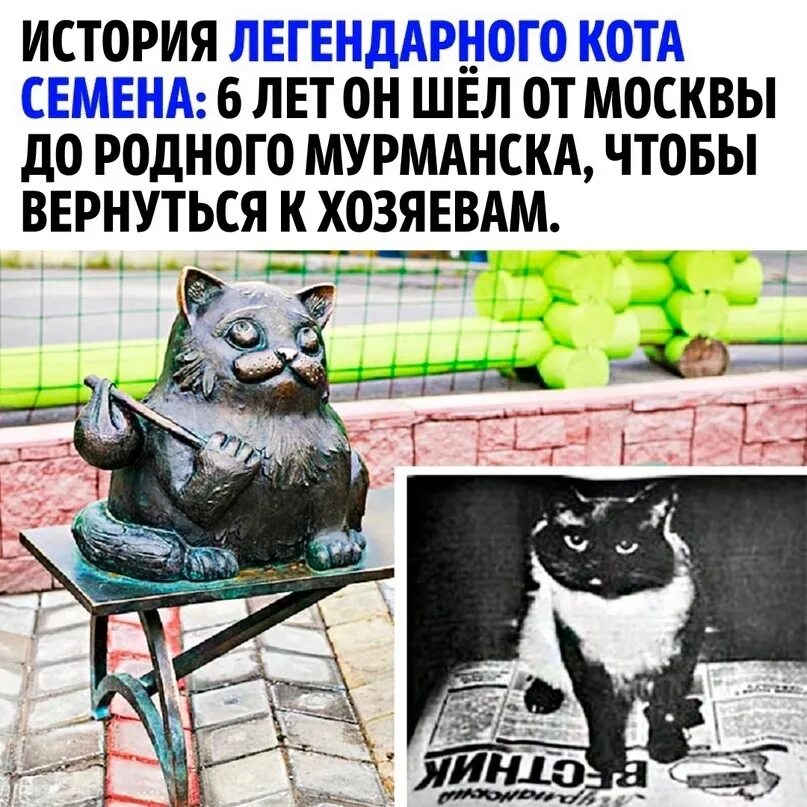 Кот семен мурманск фото Done21 Giving a good story. 2023 Я сделяль! ВКонтакте