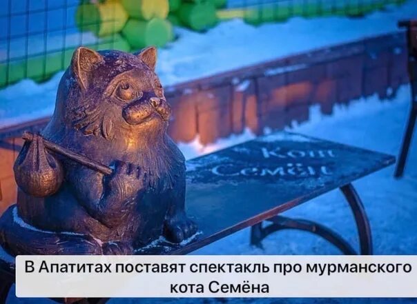 Кот семен мурманск фото In Apatity will put on a play about the Murmansk cat Semen The famous case of th