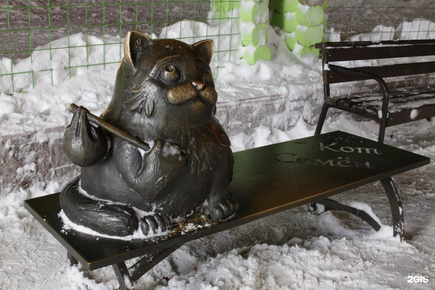 Кот семен мурманск фото настоящего кота Кот семен мурманск история фото YugNash.ru