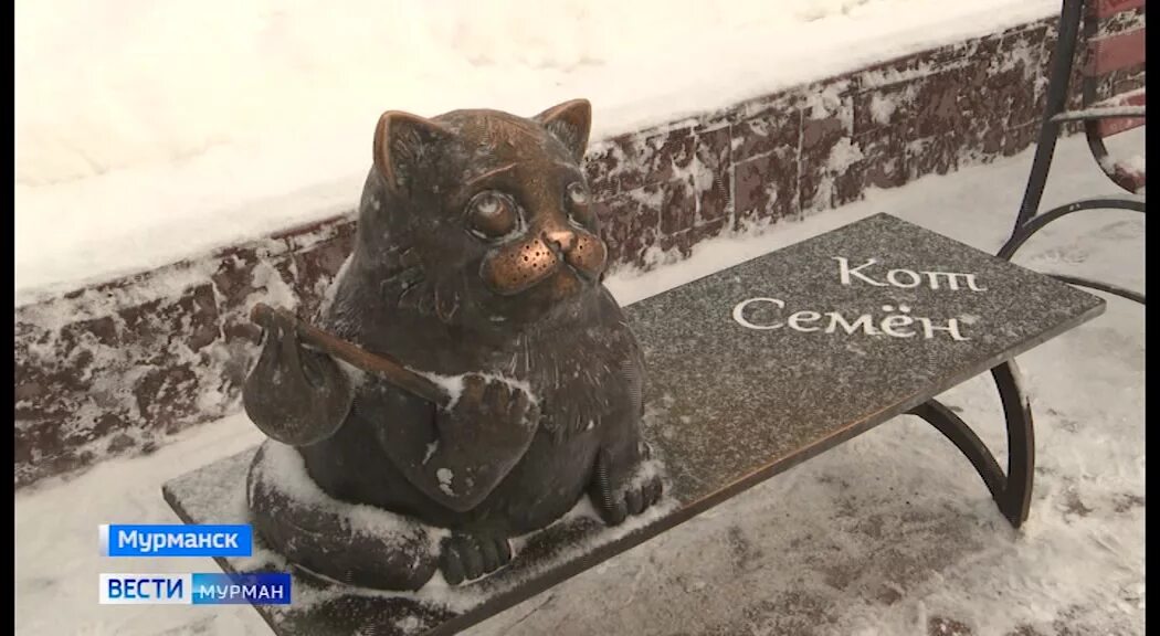Кот семен мурманск фото настоящего кота Кот Семен в Мурманске признан одним из лучших памятников животным в России - Нов