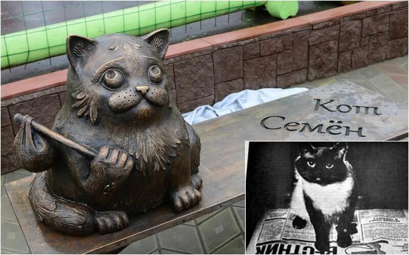 Кот семен мурманск история фото 5 невероятных историй об автомобилях и потерявшихся животных - AutoClub99.ru