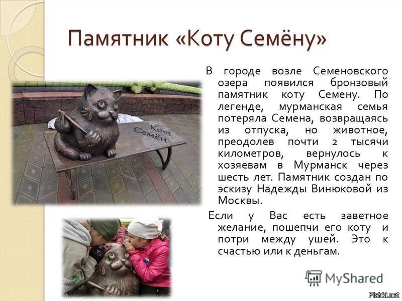 Кот семен мурманск история фото Кот семен мурманск история фото YugNash.ru