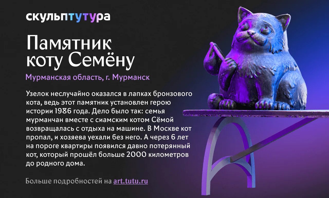 Кот семен мурманск история фото Кот Семен из Мурманска не прошел в финал конкурса "СкульпТУТУры" - Мурманский ве