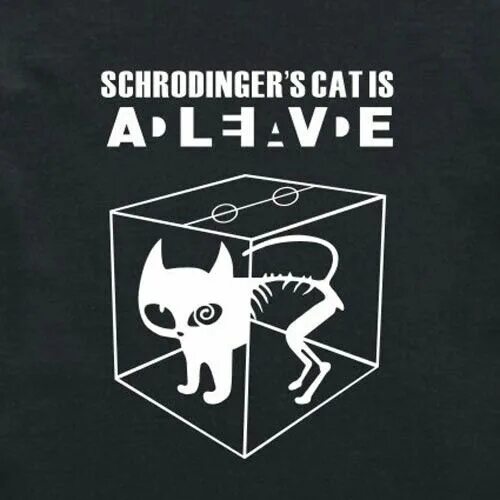 Кот шредингера фото Gato de schrodinger Bigbang, Schrodingers cat, Big bang theory gifts
