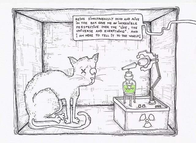 Кот шредингера фото File:Schrodinger cat in box.jpg - Wikipedia