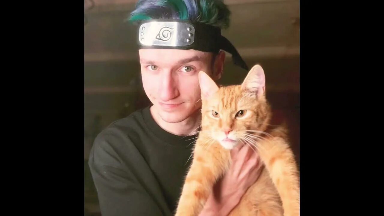 Кот симба фото #tiktok #shorts #subscribe #нерофл #симбаживи #симба #симбамладший #умер СИМБА М