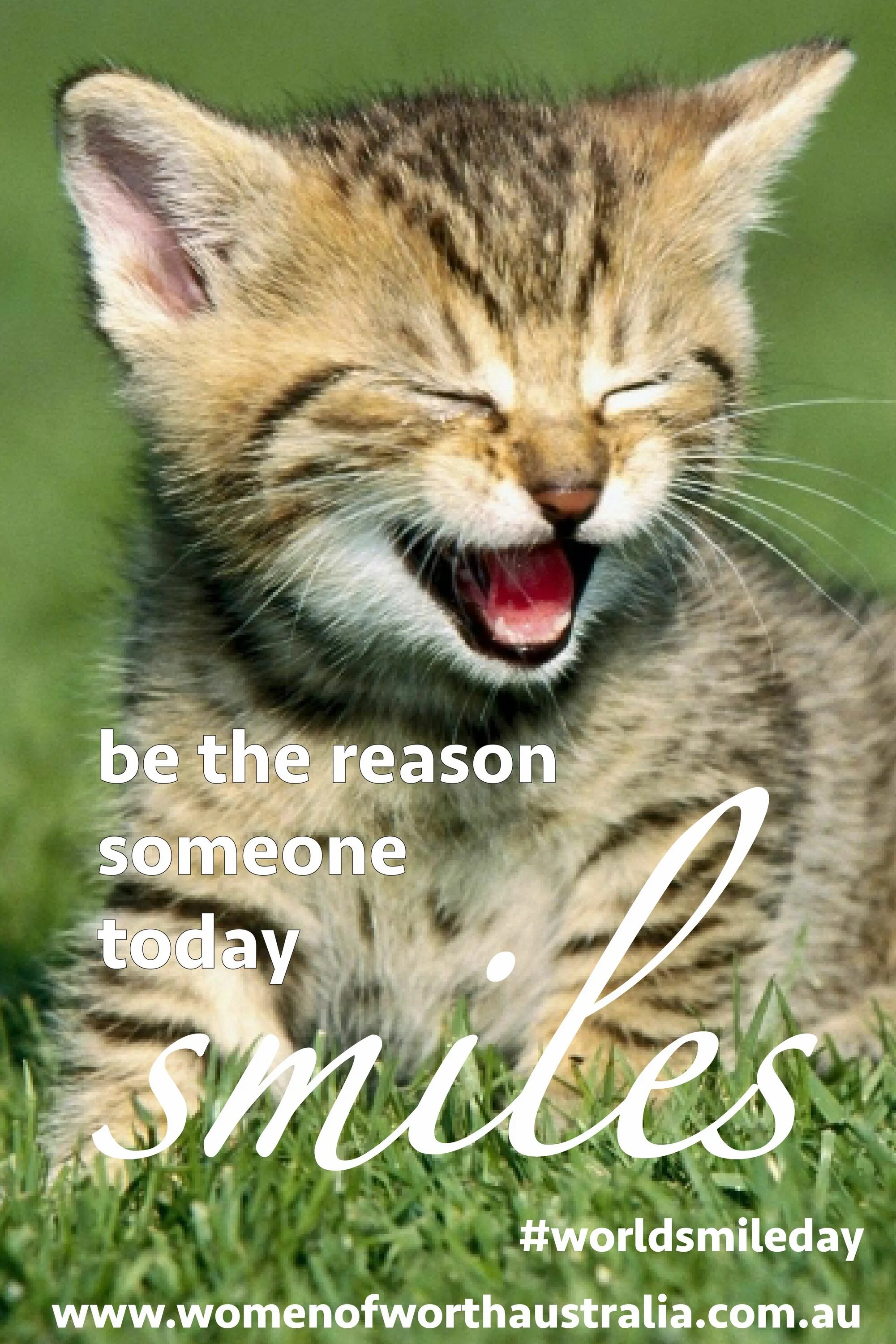 Кот смеется фото Smiles are contagious, so #smile & share the joy. Happy #WorldSmileDay from all 