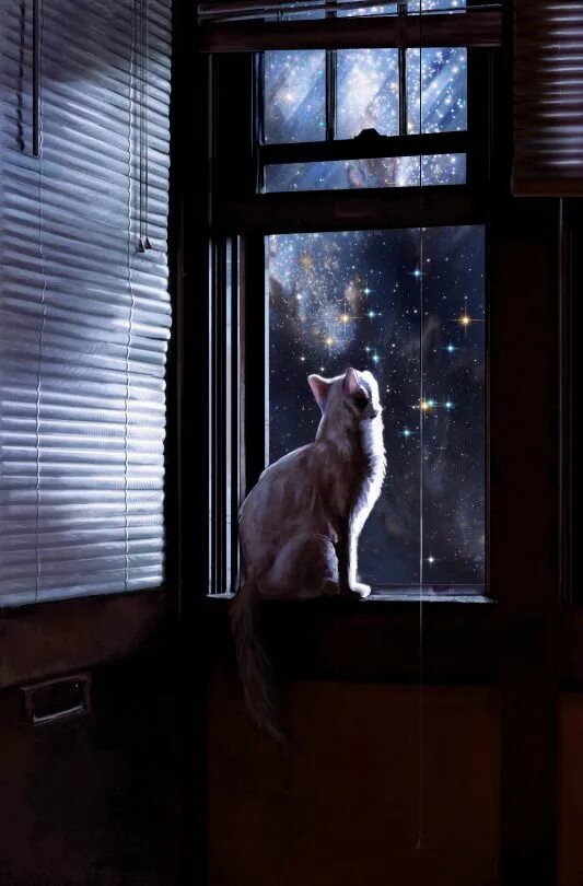 Кот смотрит в окно фото the art of animation Star illustration, Illustration art, Cat art