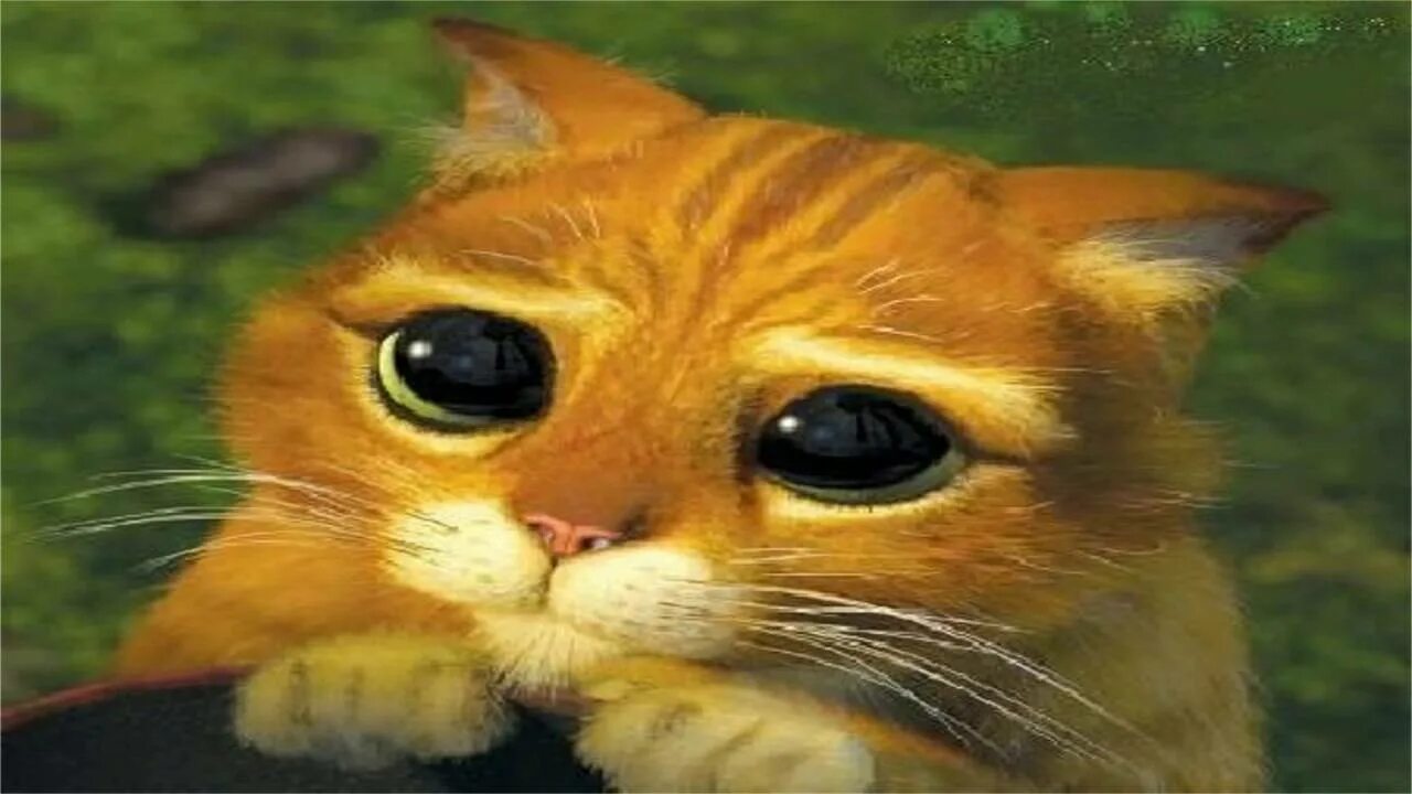 Кот со шрека с глазами фото Assobio Atirei o Pau no Gato - YouTube