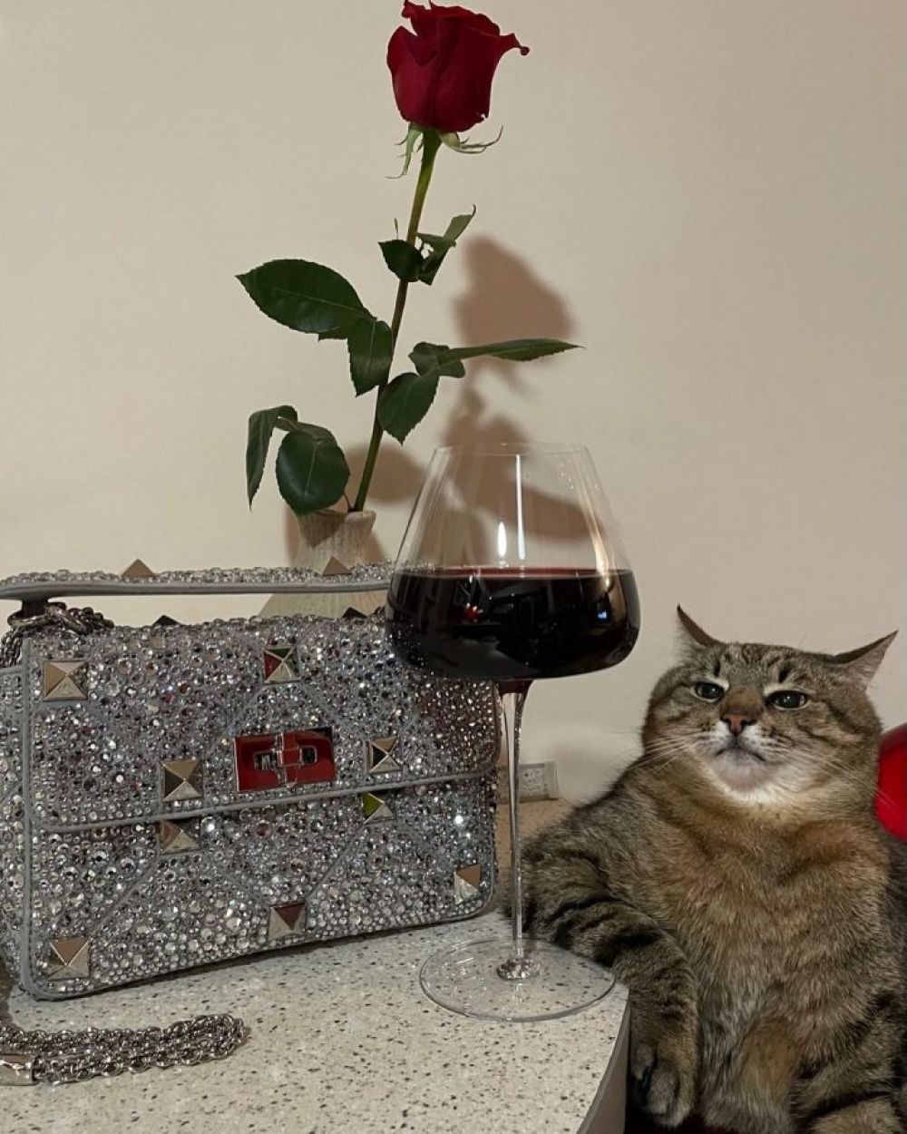 Кот степан фото Всемирный день кошек: самые знаменитые коты, которые вошли в историю Есть повод 