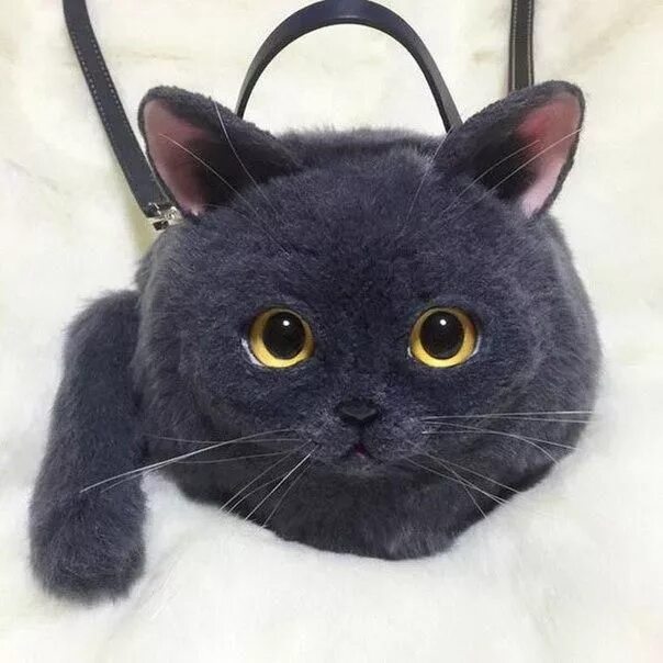 Кот сумка фото Чудесные сумки в виде кошек 4 Cat handbags, Cat bag, Cat purse