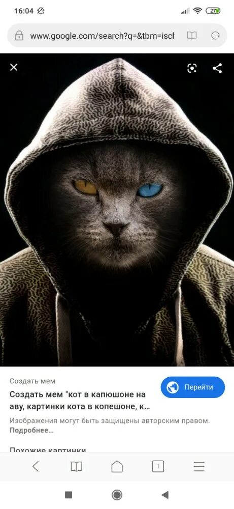 Кот в капюшоне фото Создать мем "коты, кот, фотка с комментариями" - Картинки - Meme-arsenal.com