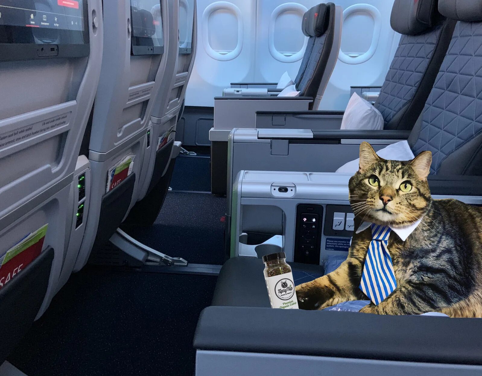 Кот в самолете фото My Cat Successfully Lands a Plane onto Aircraft Carrier (plus some actual legit 