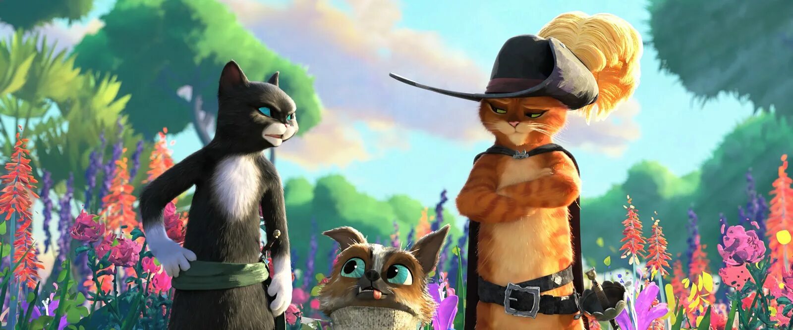Кот в сапогах фото картинки Кот в сапогах: Последнее желание (2022) - Puss in Boots: The Last Wish - Puss in