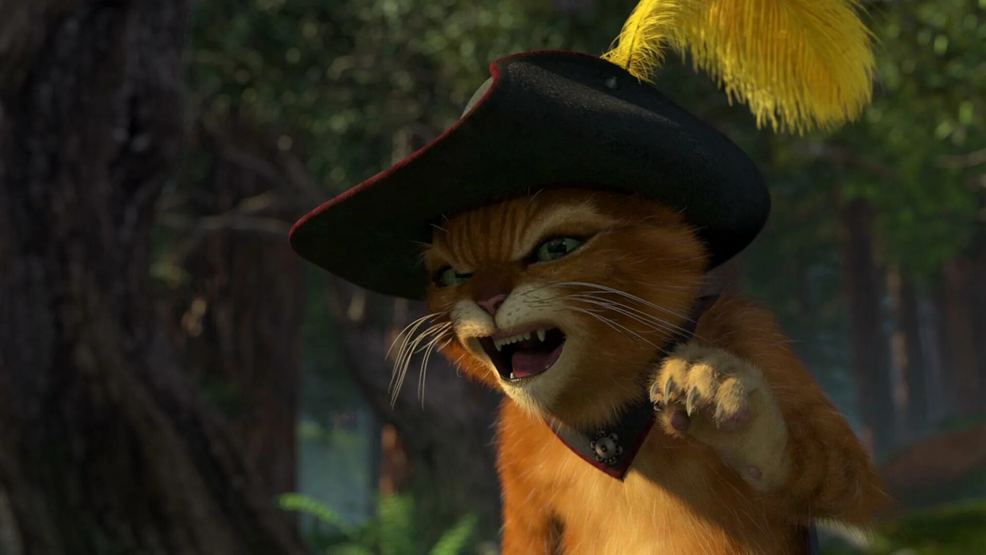 Кот в сапогах из шрека фото Шрэк 2 (2004) - Antonio Banderas as Puss In Boots - IMDb