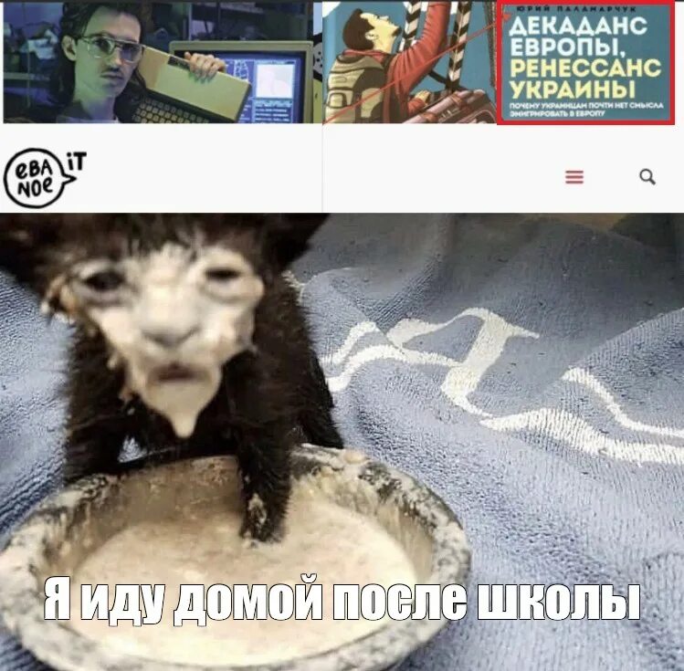 Кот в сметане фото мем Meme: "Я иду домой после школы" - All Templates - Meme-arsenal.com