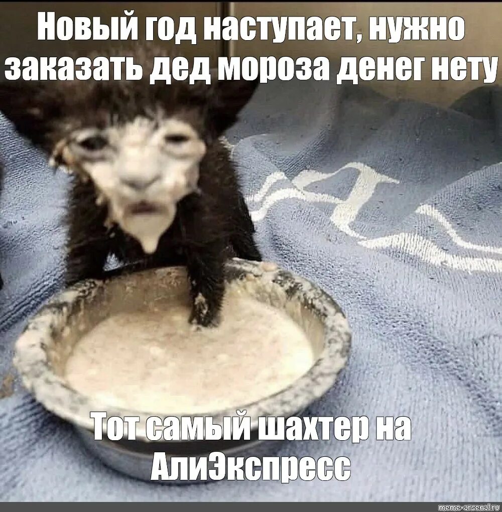 Кот в сметане фото мем Мем: "" - Все шаблоны - Meme-arsenal.com