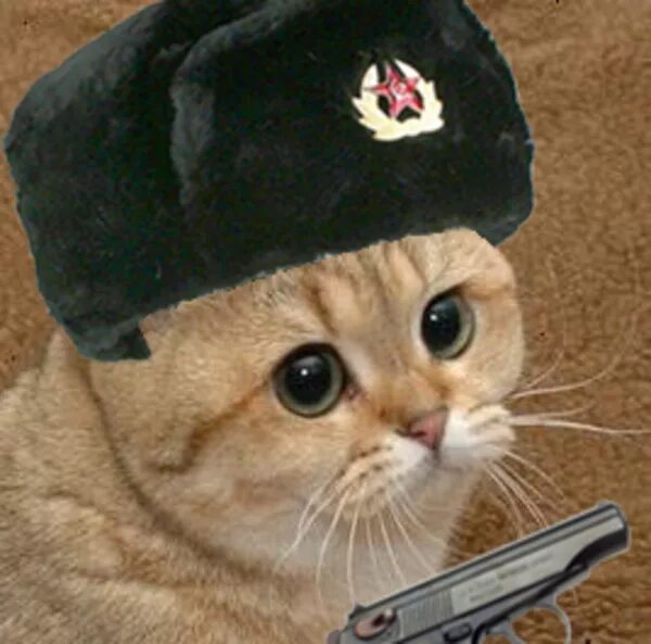 Кот в ушанке фото Steam Workshop::Suka Sanya and Gena Blyat