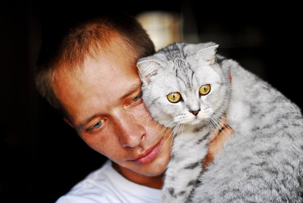 Кот владимир фото Фото: Владимир Шумилин, 46 лет, Москва в конкурсе "Котомания: я и мой кот"
